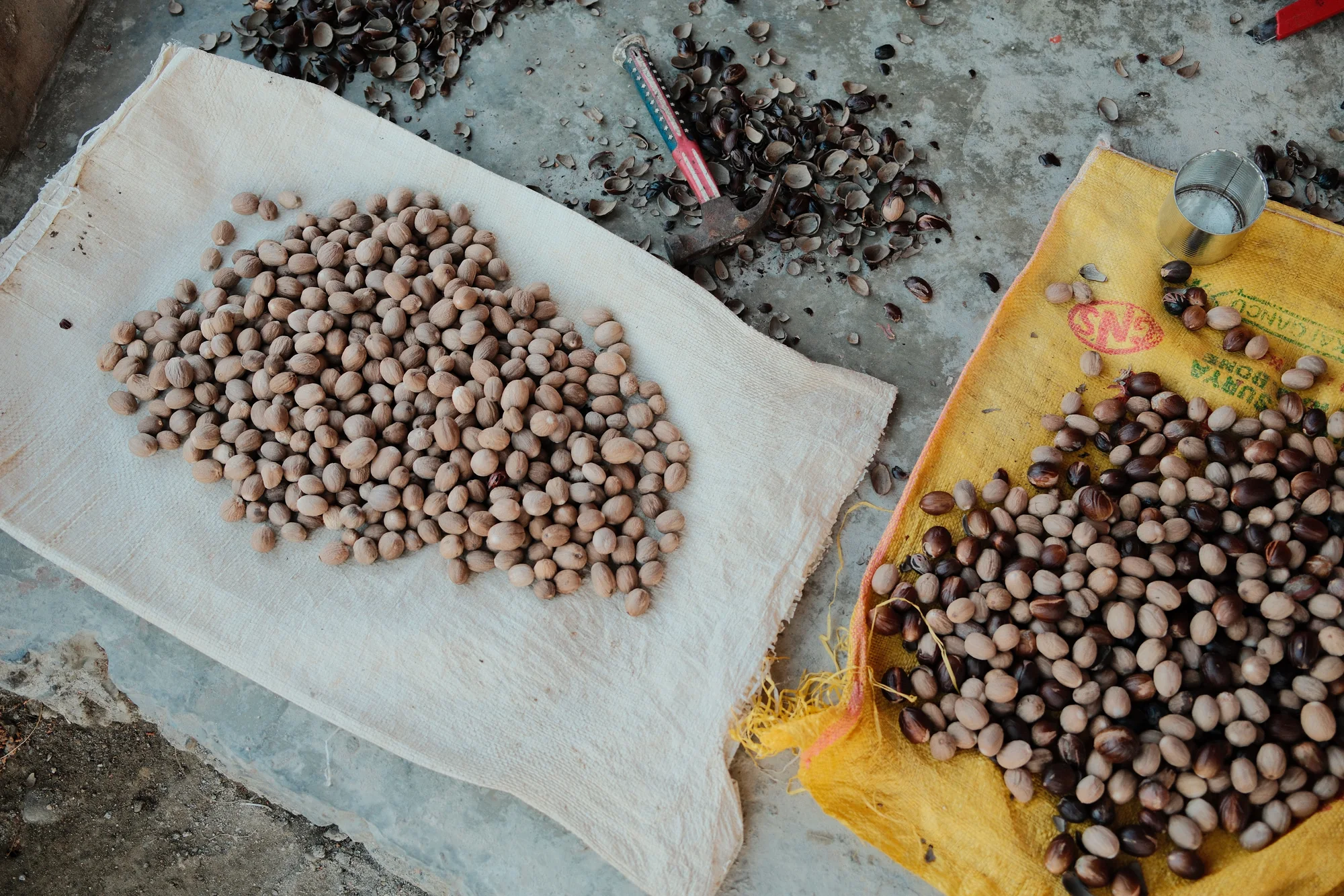 Small rounded kernels are spread on white and yellow sacks, with dark broken shells, a hand tool and a metal cup nearby.