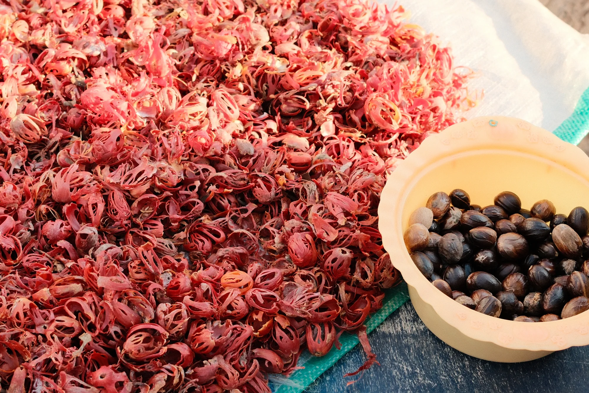 A pile of red lacy strands lies beside dark oval seeds in a pale bowl on a woven surface.
