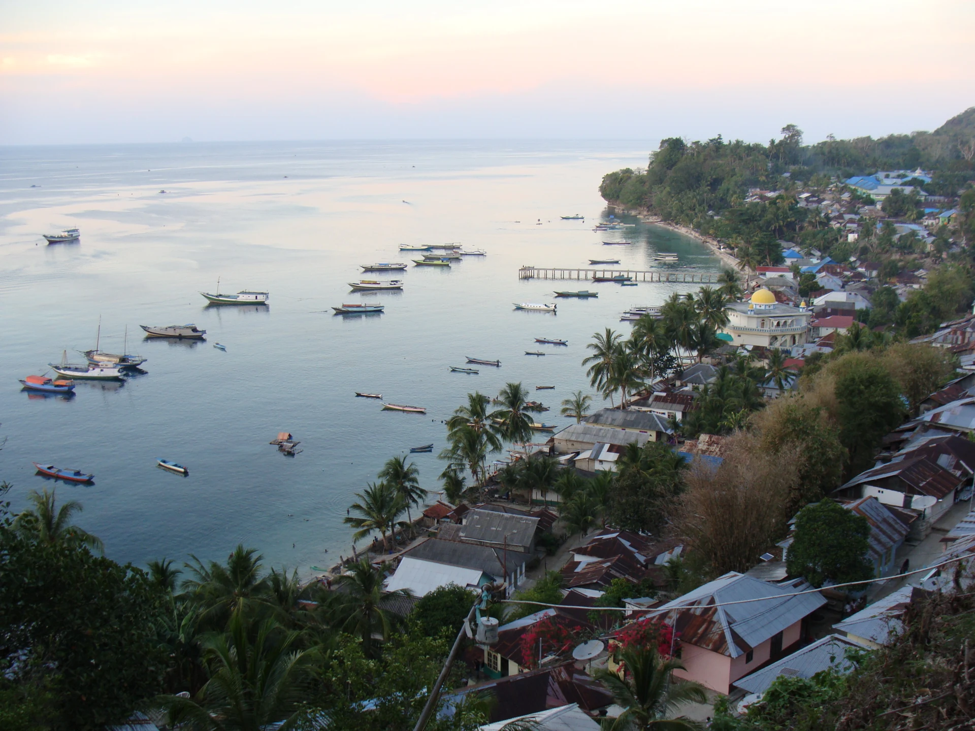 A hillside view of a coastal settlement with metal-roofed houses, palms, a white domed building, a pier and many small boats.